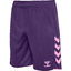 hmlCORE 2.0 SHORTS acaicottoncandy
