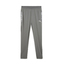 teamCUP Training Pants flatmediumgraypumasilverflatlightgray