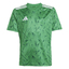 Team Icon 25 Shirt Kids teagrnwhite