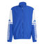 Squadra 25 Trainingsjacke roybluwhite