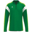 CELEBRATE 125 Training Top smaragdgreengecko