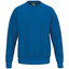 TS Sweatshirt newroyal
