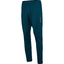 hmlTE STRENGTH TRAINING PANTS reflectingpond