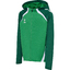 hmlLEAD 2.0 ZIP HOODIE KIDS jellybeanevergreen