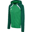 hmlLEAD 2.0 ZIP HOODIE WOMAN jellybeanevergreen