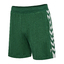 hmlARCHIVE REGULAR SHORTS eden