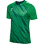 hmlMATCH TRIUMPH JERSEY S/S jellybeanbotanicalgarden