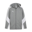 teamEVOSTRIPE Hooded Jacket mediumgrayheatherpumasilverpumawhite