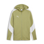 teamEVOSTRIPE Hooded Jacket calminggreenpumasilverpumawhite