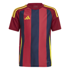 STRIPED 24 TRIKOT KIDS