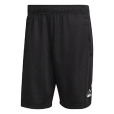 Seasonal Trainingsshort-2408389