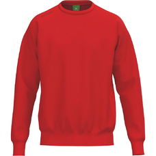 TS Sweatshirt-2434687