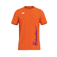 Harambee trainings- / inspeelshirt-2444585