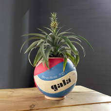 Volleybal Plantenpot