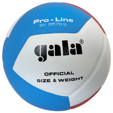 VOLLEYBAL PRO-LINE 5576S