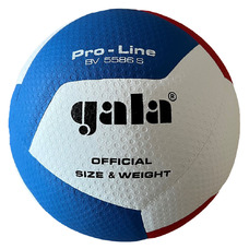 Volleybal Pro-line 12 5586S