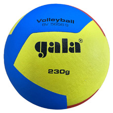 Jeugd volleybal 12 230 gram