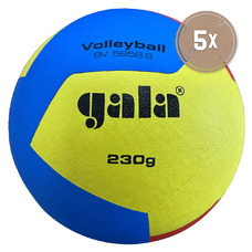 Jeugd volleybal 12 230 gram - Ballenpakket 5 stuks