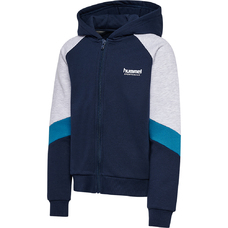 hmlJR LOOSE BLOCKED ZIP HOODIE-2396428