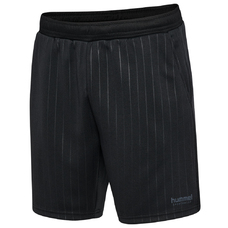 hmlSTRIPE SHORTS-2427850