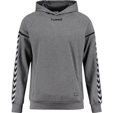 Authentic Charge Poly Hoodie-414548