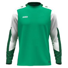 Longsleeve Dynamic-2404586