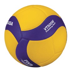 VT500W  Trainingsbal