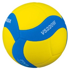 VS220W Volleybal