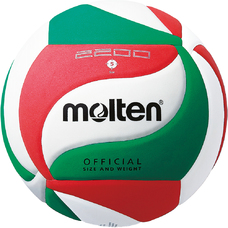 V5M2200 Volleybal
