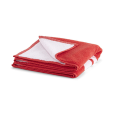 TEAM Towel Small (50x100)