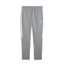 teamEVOSTRIPE Pants-2375370