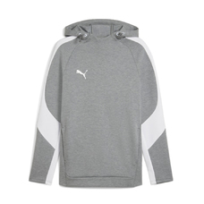 teamEVOSTRIPE Hoody-2375474