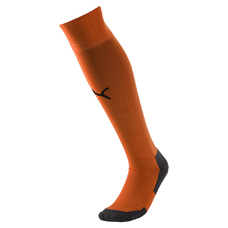 Team LIGA Socks CORE-816316