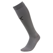 Team LIGA Socks CORE-816317