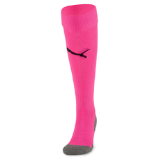 Team LIGA Socks CORE-816335