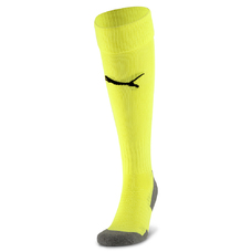 Team LIGA Socks CORE-816337