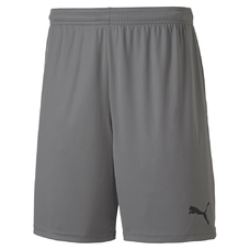 teamGOAL 23 knit Shorts