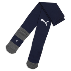 teamLIGA26 Socks Core-2444426