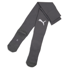 teamLIGA26 Socks Core-2444461