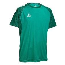 Trikot Kurzarm Spain v25-2383586